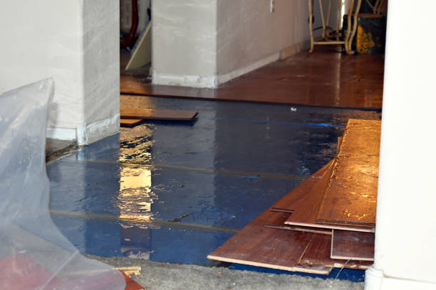 Professional Burst Pipe Cleanup technician working in Shapleigh, ME